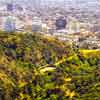 Runyon Canyon, March 2002