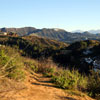 Runyon Canyon January 2011