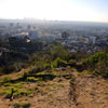 Runyon Canyon January 2011