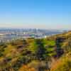 Runyon Canyon January 2011