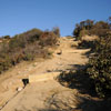 Runyon Canyon January 2011