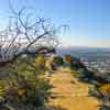 Runyon Canyon January 2011