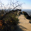 Runyon Canyon January 2011