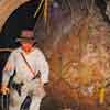 Indiana Jones Adventure June 2008