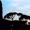 Rome, Italy photo, Fall 2004