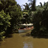 Disneyland Jungle Cruise photo, 1950s