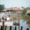 Disneyland Adventureland Jungle Cruise 1956