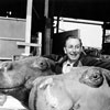 Disneyland Adventureland Jungle Cruise hippo construction with Walt Disney, 1955