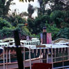 Adventureland Jungle Cruise