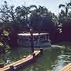 Adventureland Jungle Cruise