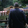 Adventureland Jungle Cruise