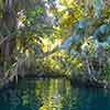 Disneyland Jungle Cruise Rainforest, December 2006