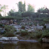 Jungle Cruise African Veldt, December 1965