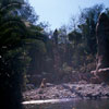 Disneyland Jungle Cruise African Veldt, March 1975