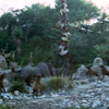 Jungle Cruise African Veldt, December 1965