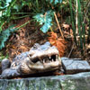 Jungle Cruise Ancient Shrine July 2012