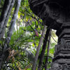 Jungle Cruise Ancient Shrine photo February 2011