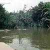 Disneyland Jungle Cruise September 3, 1958