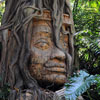 Jungle Cruise rainforest, September 2008