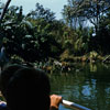 Disneyland Jungle Cruise August 27, 1955