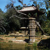 Disneyland Jungle Cruise August 27, 1955