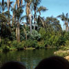 Disneyland Jungle Cruise photo, August 27, 1955