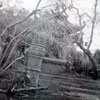 Disneyland Jungle Cruise Ancient Shrine, 1955