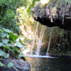 Disneyland Jungle Cruise back side of water photo, January 2011