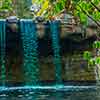 Disneyland Jungle Cruise back side of water photo, July 2012