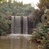 Schweitzer Falls at Disneyland September 3, 1958