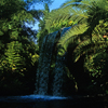 Jungle Cruise photo, August 1963