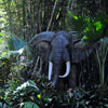 Disneyland Jungle Cruise African Bull Elephant, September 2009