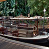 Disneyland Jungle Cruise Exit Dock photo, July 2012