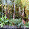 Jungle Cruise Dock, August 2007