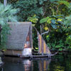 Disneyland Jungle Cruise dock area photo, January 2011