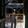 Jungle Cruise Boat, September 2008