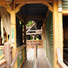 Jungle Cruise Boat, May 2008