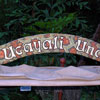 Jungle Cruise, August 2007