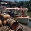 Jungle Cruise  1957