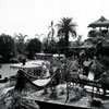 Disneyland Jungle Cruise photo, July 1955