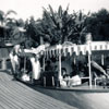 Disneyland Jungle Cruise Dock photo, July 1957