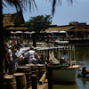 Adventureland Jungle Cruise