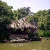 Adventureland Jungle Cruise dock area, August 1959