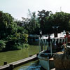 Disneyland Adventureland Jungle Cruise dock area 1950s