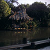 Adventureland Jungle Cruise, August 1958