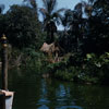 Disneyland Jungle Cruise photo, August 27, 1955