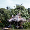 Adventureland Jungle Cruise, 1950s