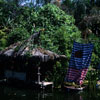 Jungle Cruise, June 25, 1966