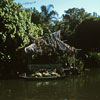 Jungle Cruise, July 1961