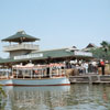 Disneyland Jungle Cruise Dock area photo, May 1960